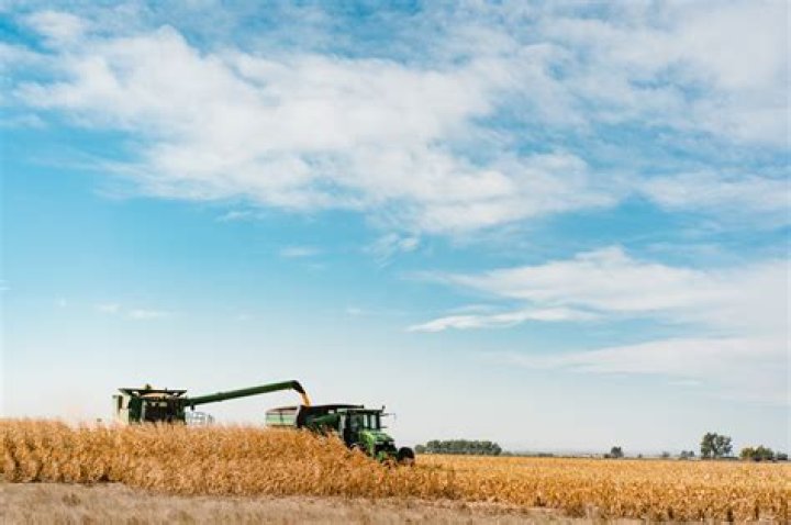 Who makes the best mini excavator