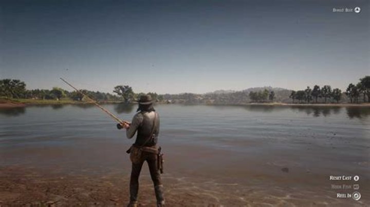 Why Can’t I Use My Fishing Rod Rdr2
