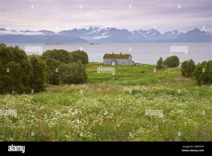 Why did they travel to Uncle Henriks house