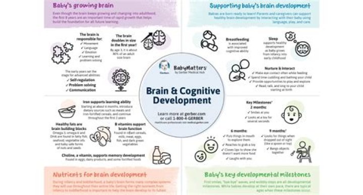 Why do we dream cognitive development