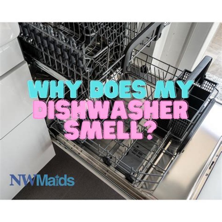 Why does my dishwasher make my glasses smell