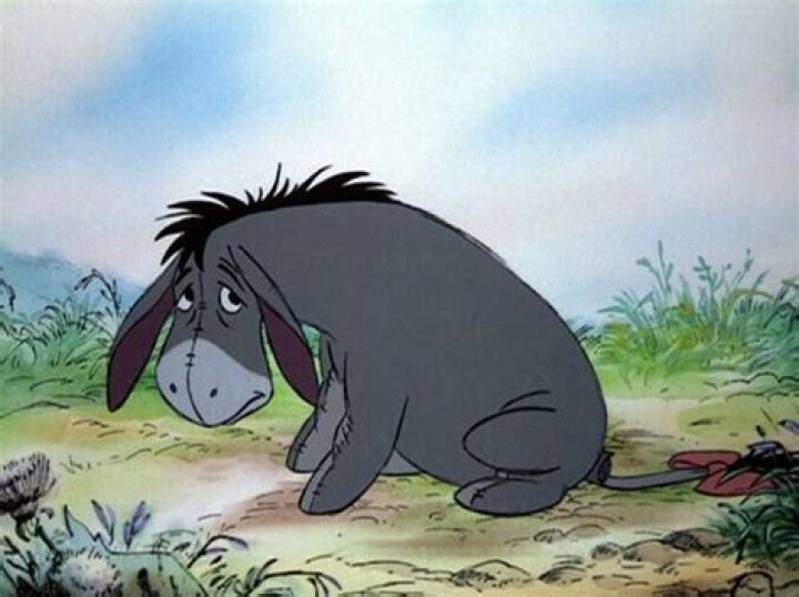 Why Eeyore is depressed in Winnie the Pooh