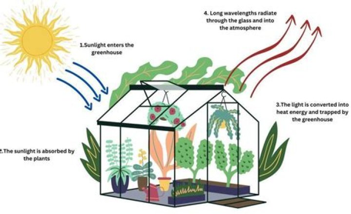 Why have a greenhouse in Australia