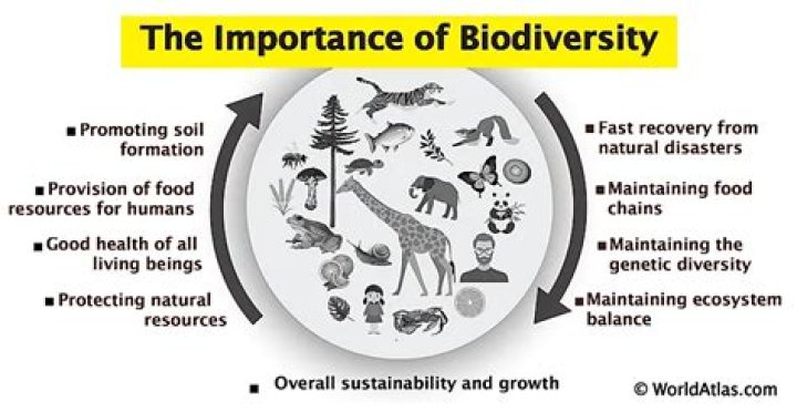 Why is biodiversity important