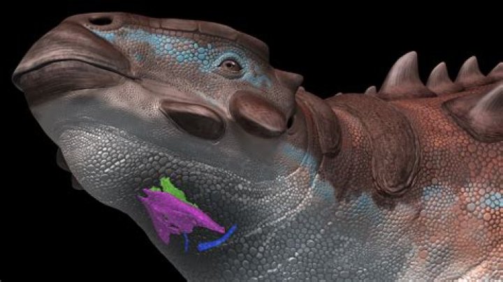 Why is it called a saw horse