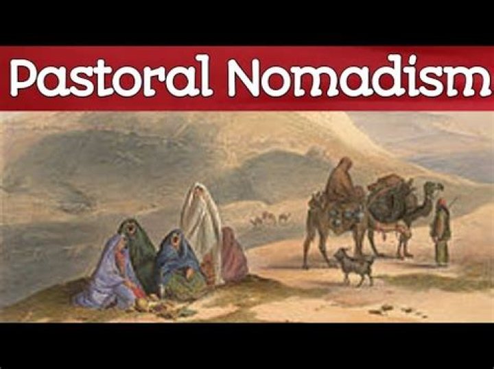 Why is nomadic pastoralism important