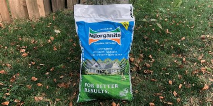 Why is there a milorganite shortage