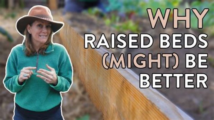 Why raised beds are better