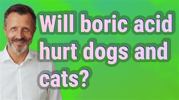 Will boric acid kill cats